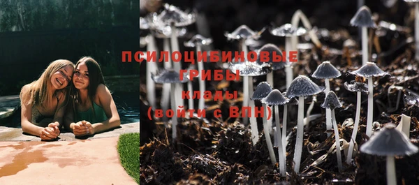 mix Верхний Тагил